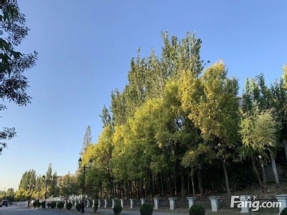 小区相关图