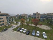 郫都区独栋出租 单价20起 户户带花园 带停车位 环境安静