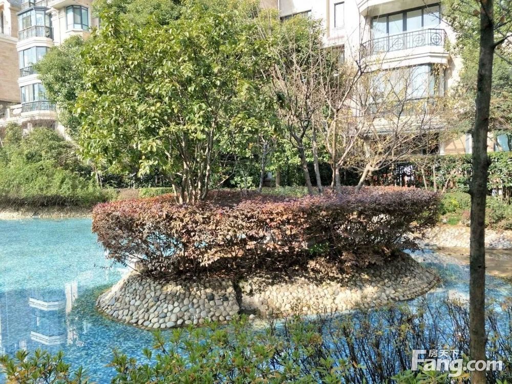 实景图