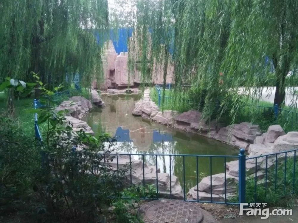实景图