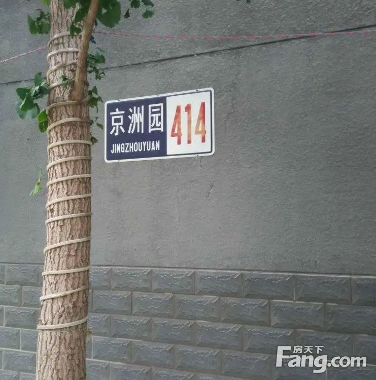 实景图