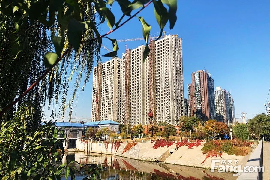 实景图