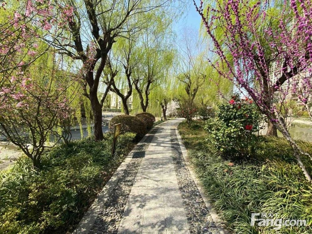 实景图