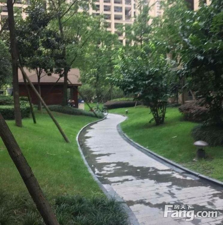 实景图