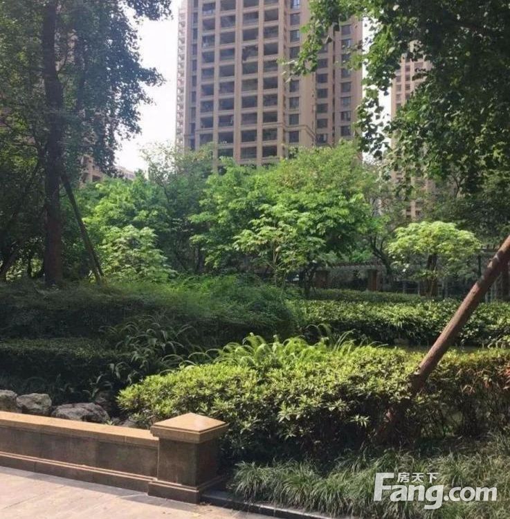 实景图