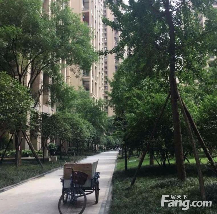 实景图