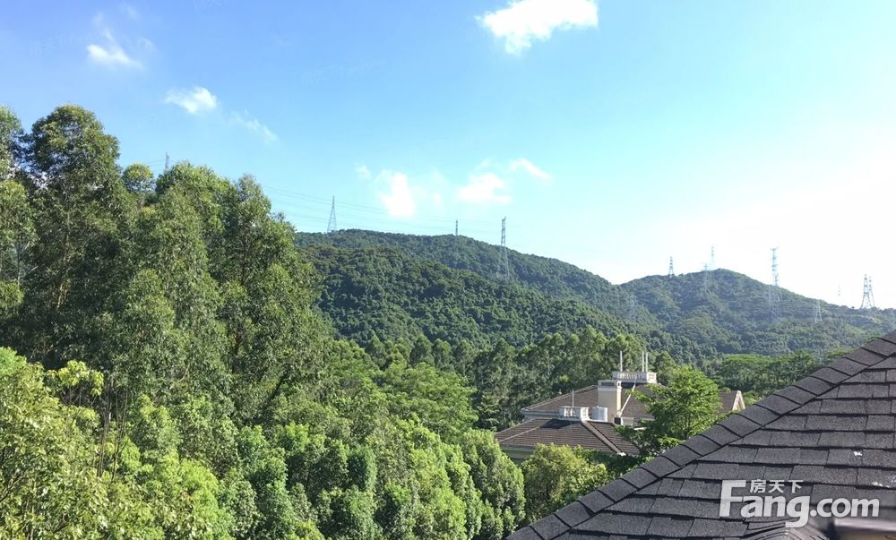 莱蒙水榭山5室实用面积大上下5层带260平方私家花园