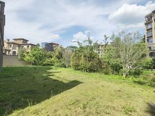 鼎峰源著 湖边打独栋 花园有600平 享受独立院子 随时可看