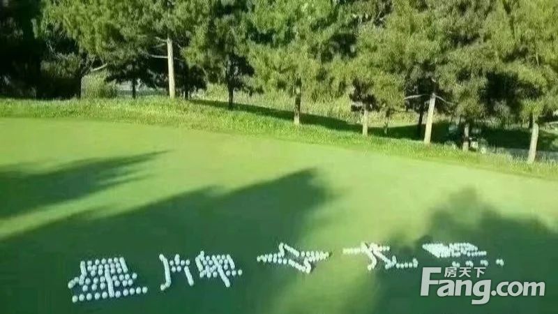 实景图