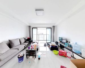 南北通风纯板房 全景落地窗 光线充足 四房户型周正