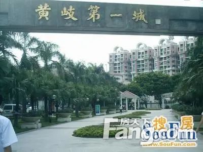 黄岐城,经典户型,隆重推出,价格给力哦,佛山南海黄岐黄岐第一城二手房