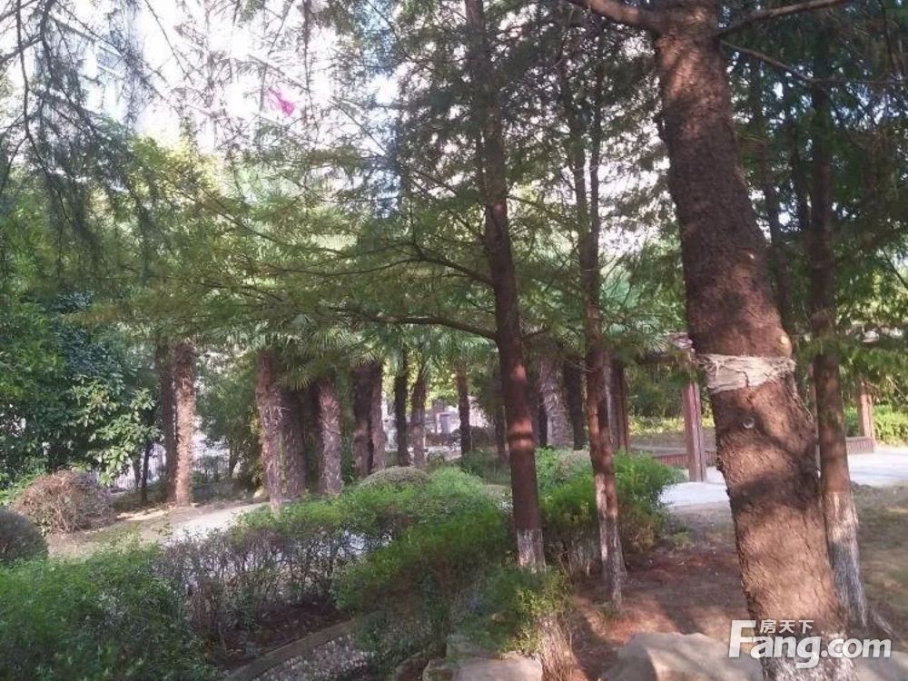 小区相关图