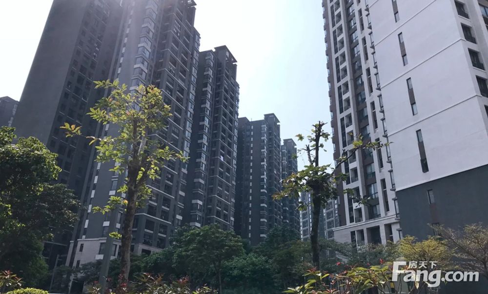 精装南向大3房2卫 保养好 看房方便 价格可谈,佛山顺德伦教万科沁园