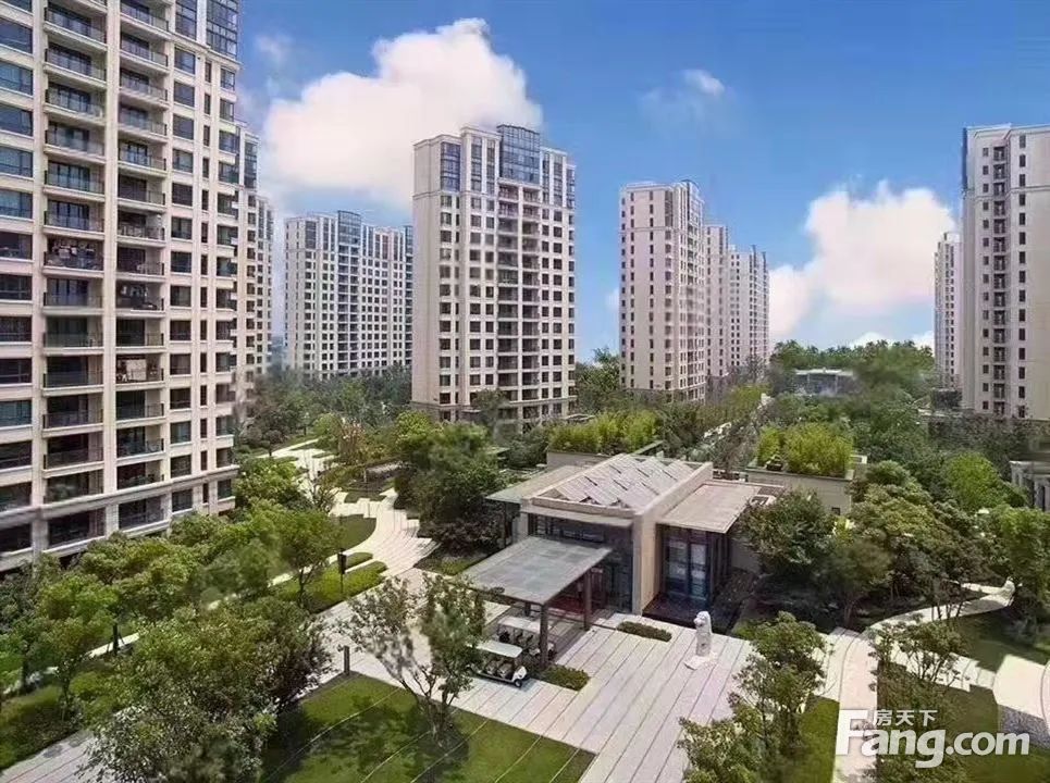 实景图