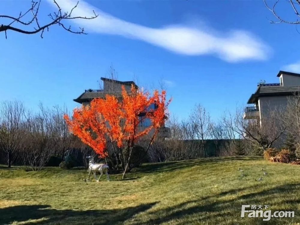 实景图