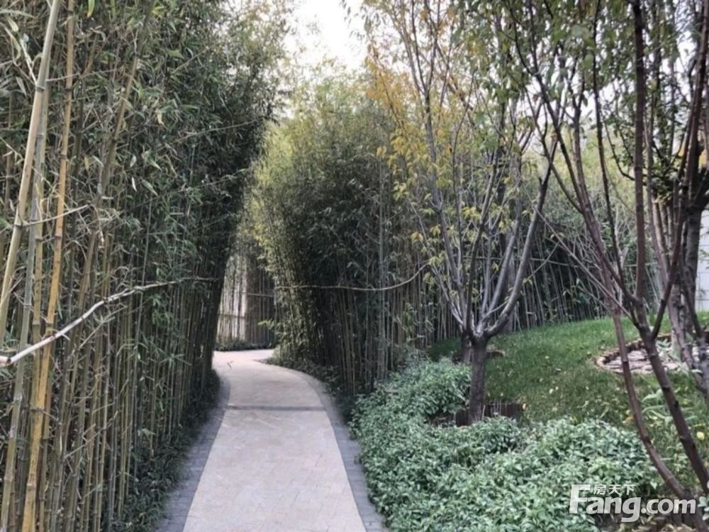 实景图