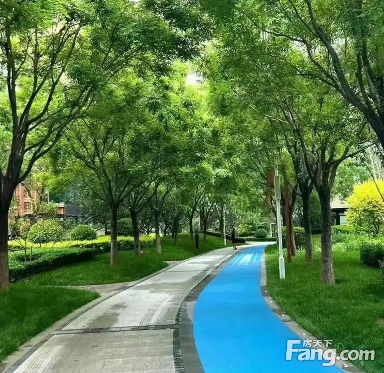 实景图