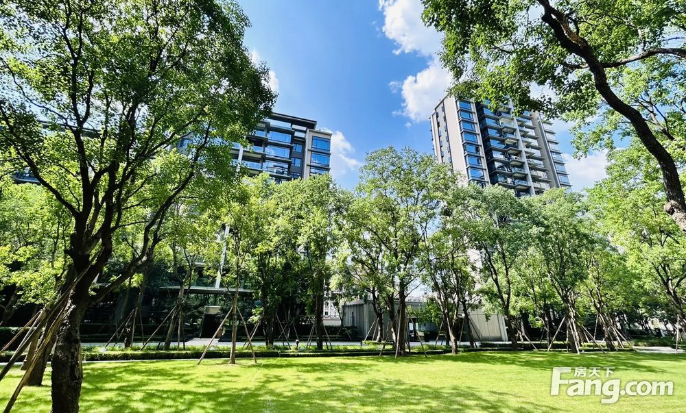 照母山龙湖尘林间三房360万现代轻奢豪华装修