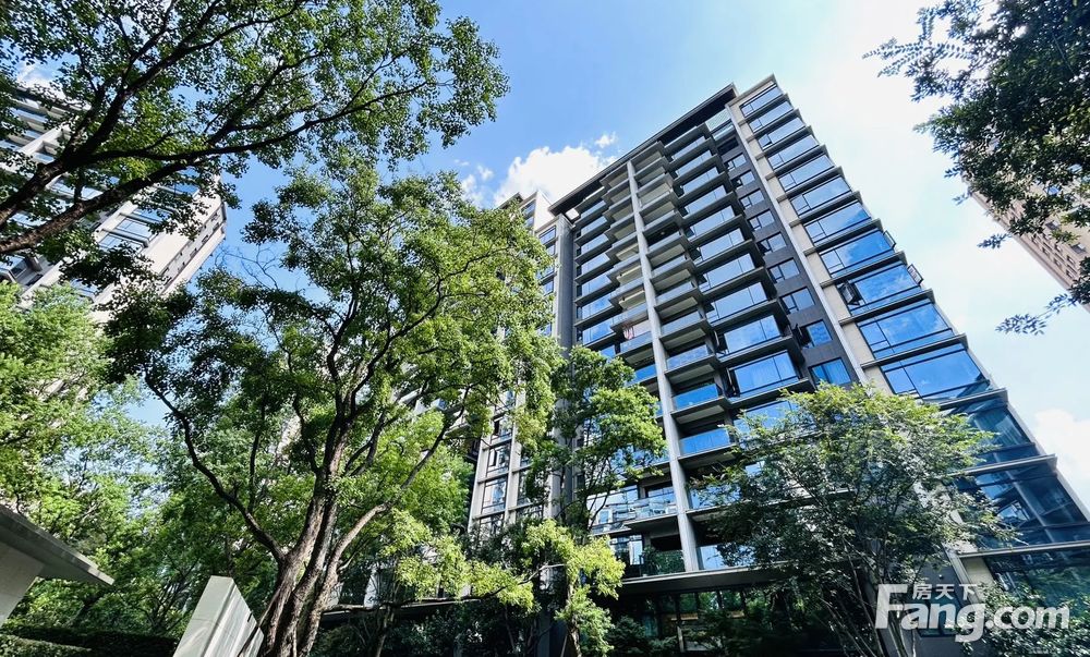 照母山龙湖尘林间三房360万现代轻奢豪华装修