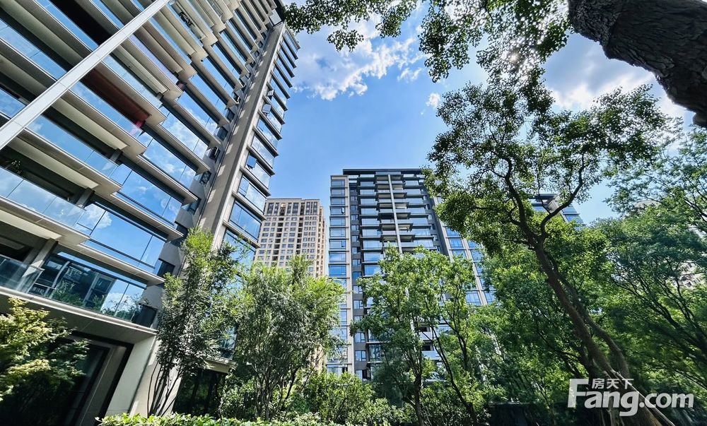 照母山龙湖尘林间三房360万现代轻奢豪华装修