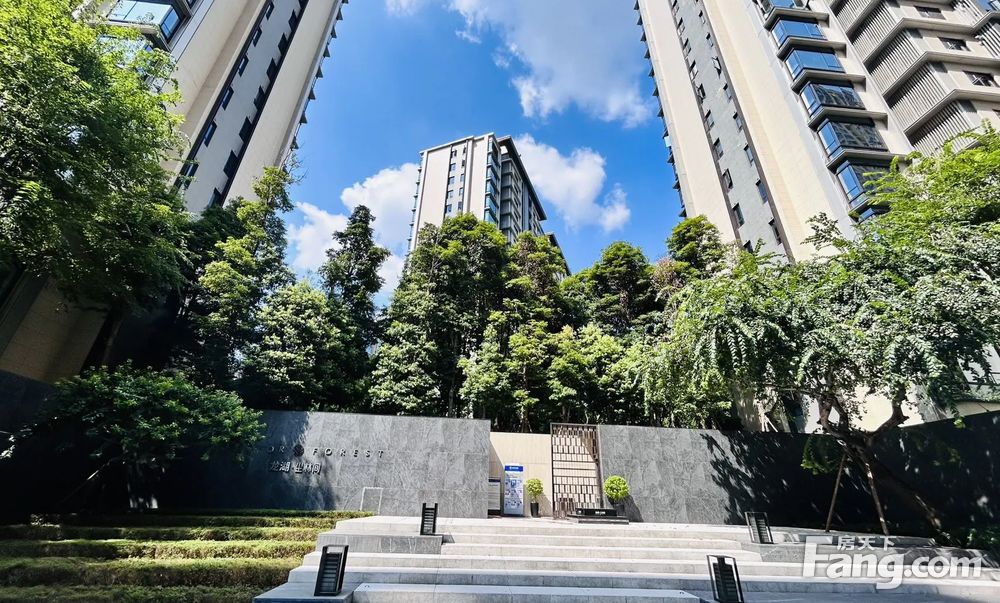 照母山龙湖尘林间三房360万现代轻奢豪华装修