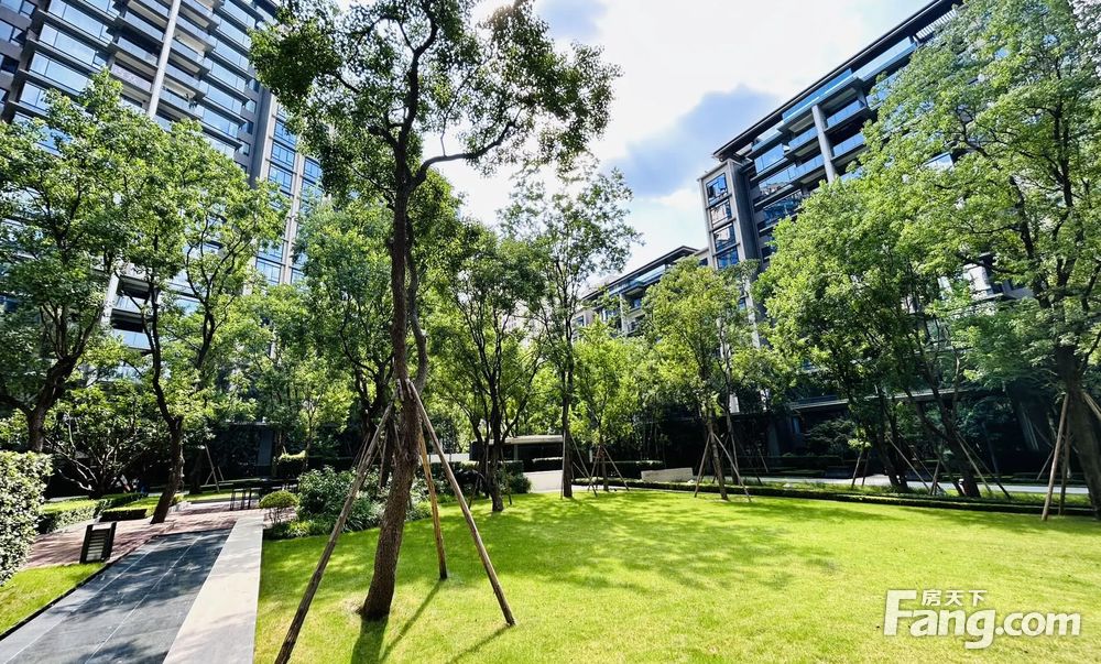 照母山 龙湖尘林间 四房 398万 房源保真,重庆渝北照母山龙湖·尘林间
