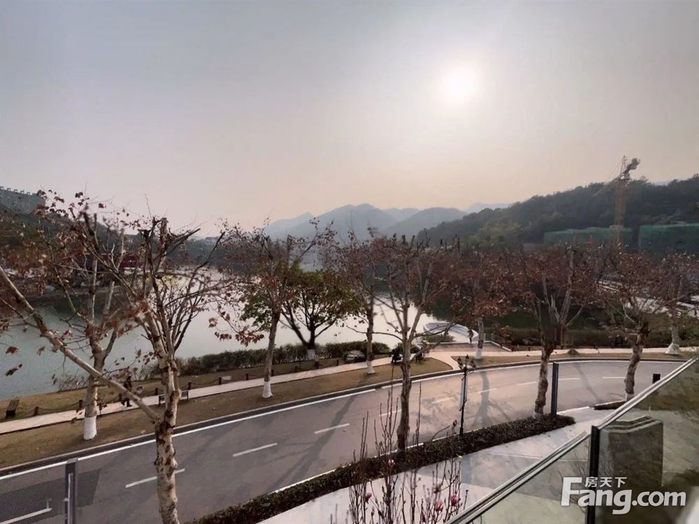 实景图