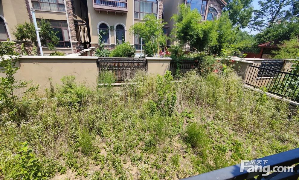 泰和上筑独栋别墅6室350平带南北院子南入户带露台带车库阁楼