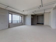 联投中心 5室2厅 311平毛坯大平层 带300平大露台