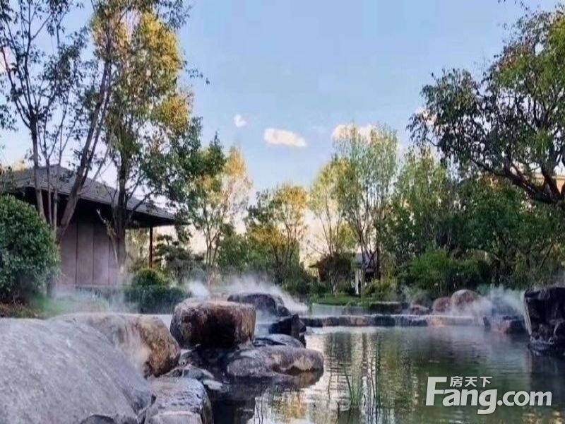实景图