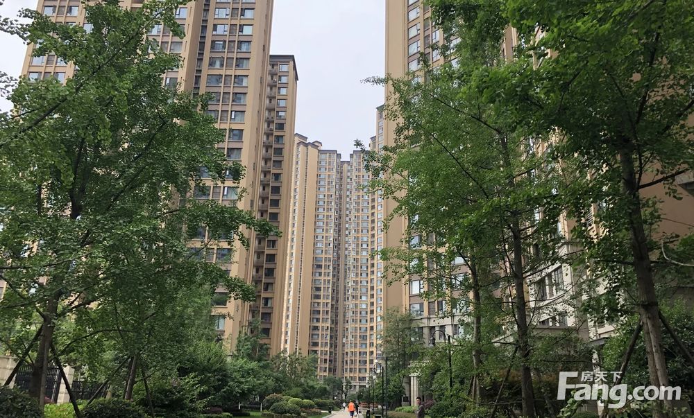 降价10万 天府五街 一手新房 精装拎包入住 水电气三,成都高新天府