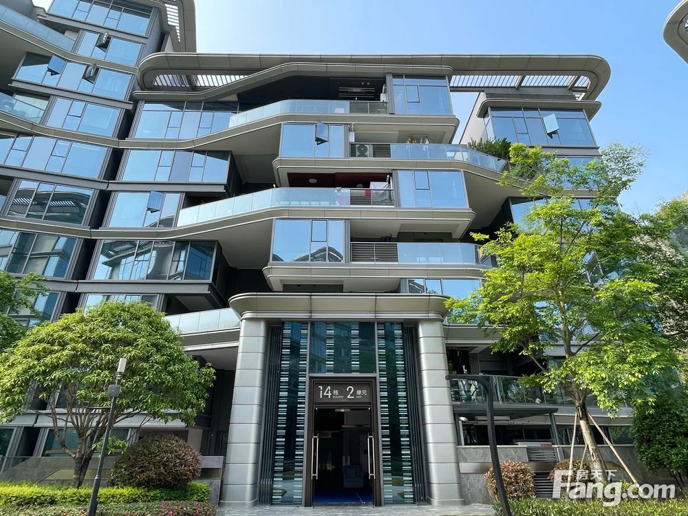 实景图