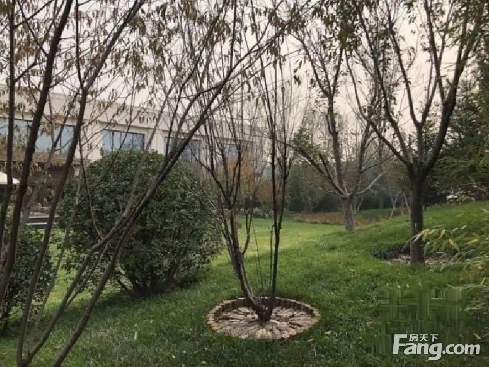 实景图