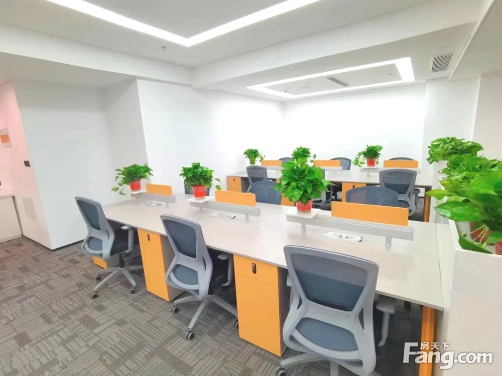 内景图