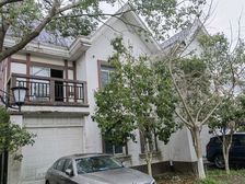 上海蓝堡 南北大花园,紧靠迪斯尼。纯独栋小区,