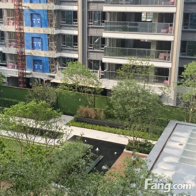 实景图