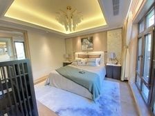 290平1087W 私家电梯和车库 独门独院 即刻下本