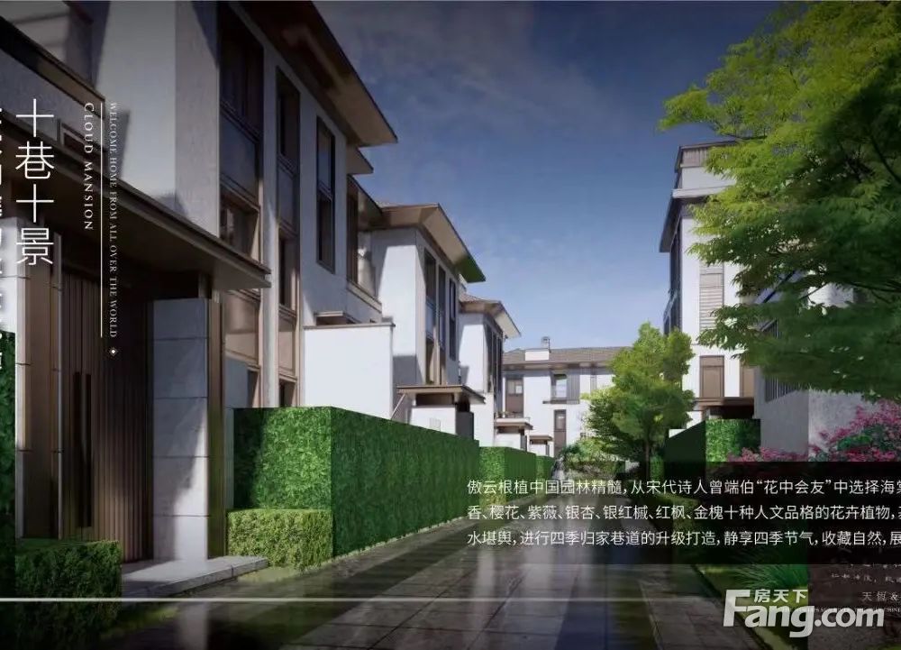 实景图