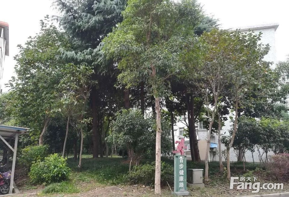 小区相关图