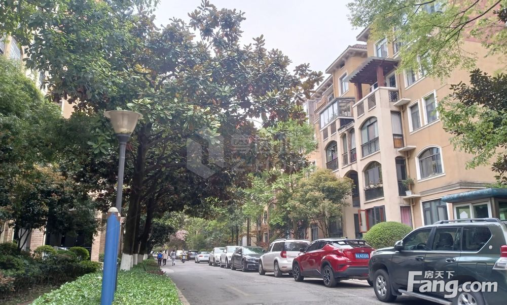 新上金龙国际花园洋房顶楼大复试满二年随时看房可贷款