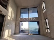 深圳湾中空复式 赠送90平 3梯2户 电梯刷卡入户 5阳台