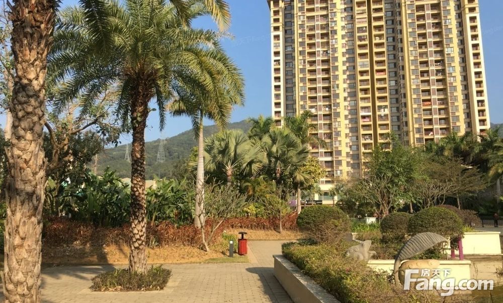 惠阳站雅居乐花园东南户型明厨明卫采光好看房随时拎包入住