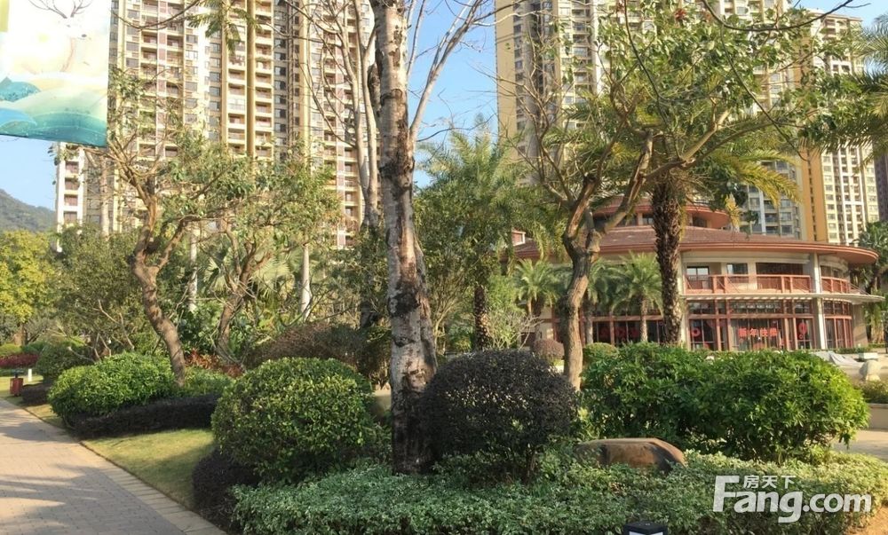 惠阳站雅居乐花园东南户型明厨明卫采光好看房随时拎包入住