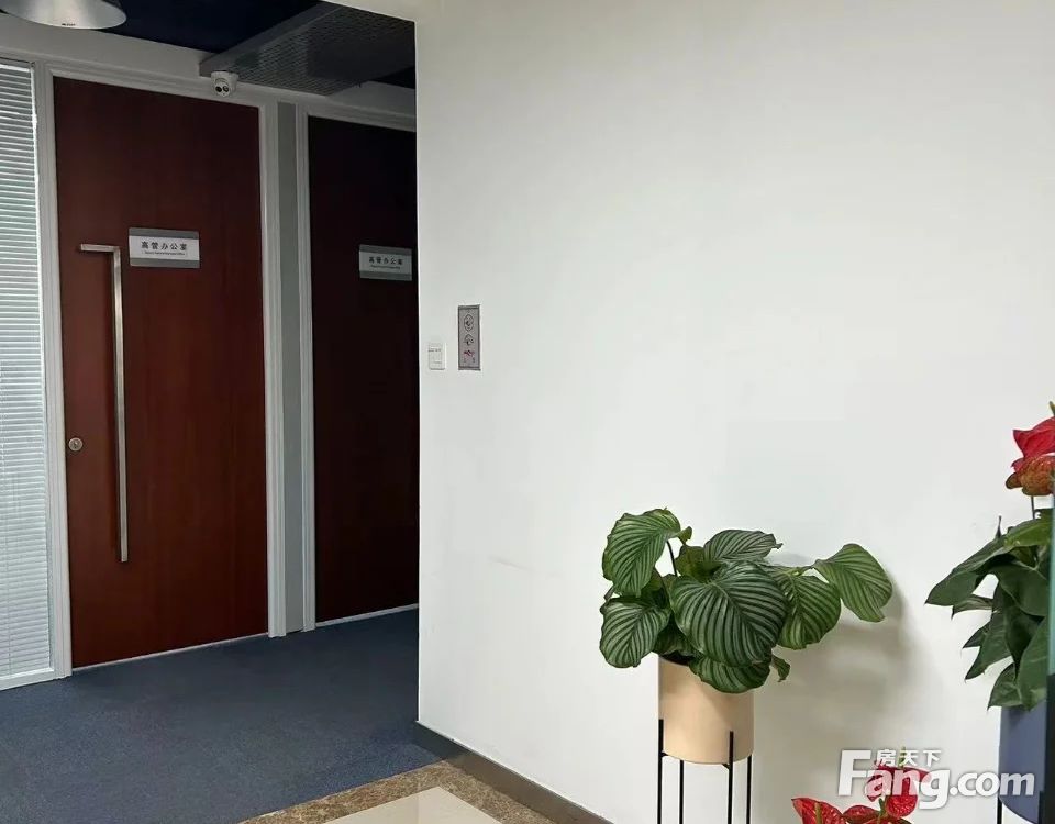 内景图
