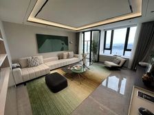 一手新房 345万 不用指标 地铁口物业 东南向 看山看海