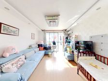 16号线+张江后花园+野生动物园+商品房小区+大润发