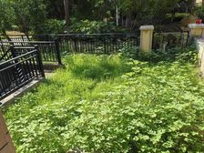 中南路上上城花园洋房带地下室花园车位