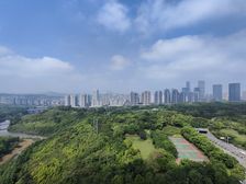 中央公园头牌,中交中央公园,豪装板式环幕大平层,2梯2户设计