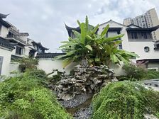 标价再少100W 鸥鹏书院 302.3平5居 北向 着急出售