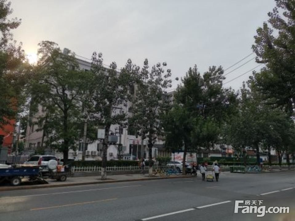 实景图